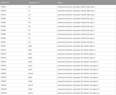 Computational comparative analysis identifies potential stemness-related markers for mesenchymal stromal/stem cells